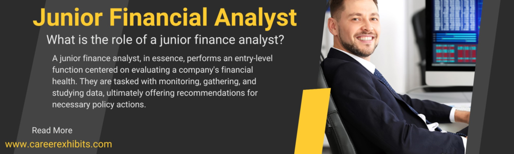 Junior Financial Analyst