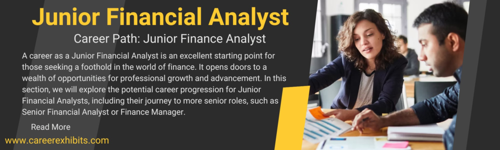 Junior Financial Analyst