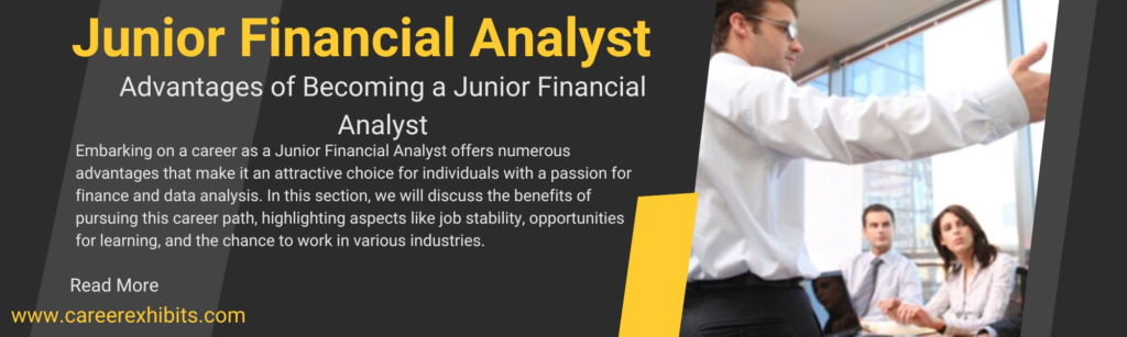 Junior Financial Analyst