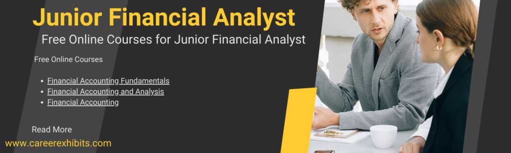 Junior Financial Analyst